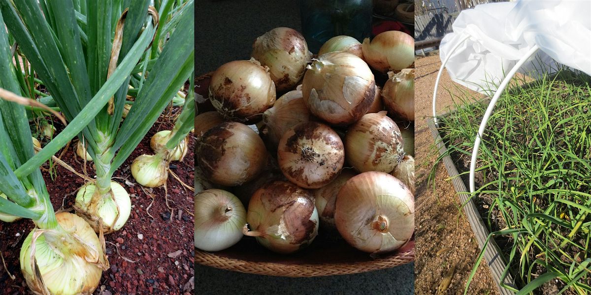 FAST Class: Growing Onions & Leeks