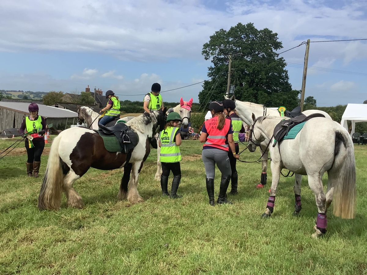 Shottle Horse Ride