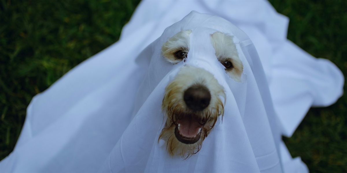 Howl-Ween Patio Party