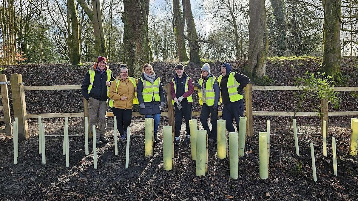 NATIONAL TREE WEEK Tree Planting at Accrington Local Nature Reserve