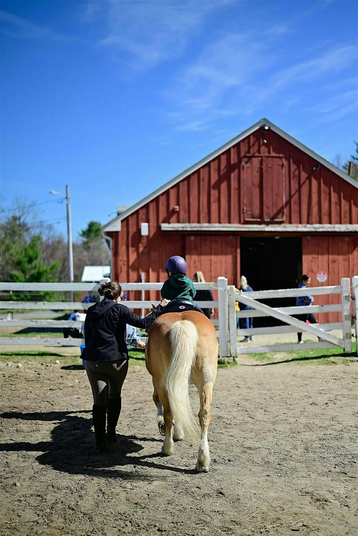 Pony Playgroup - Mondays in November (Ages 2 - 5)