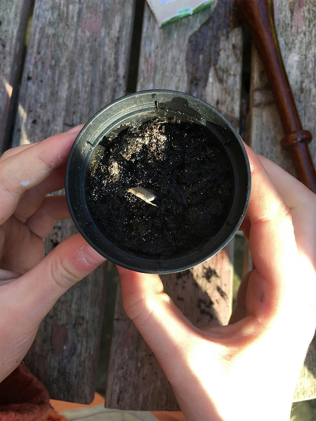 Reconnect! - Witch Workshop - Creative Spellmaking - Earth and Wards