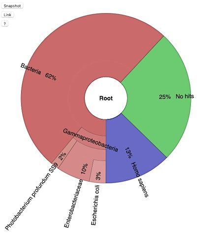 Metagenomics of the Inner Harbor: Bioinformatics analysis