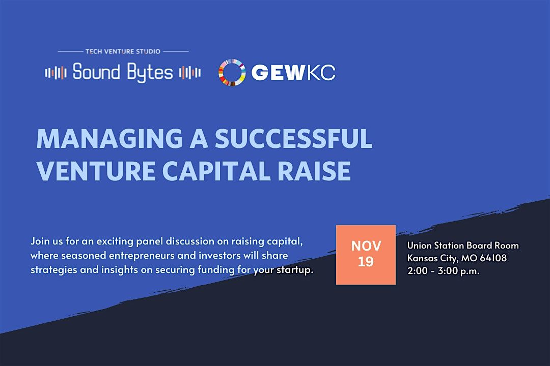 Sound Bytes: Managing a Successful Venture Capital Raise