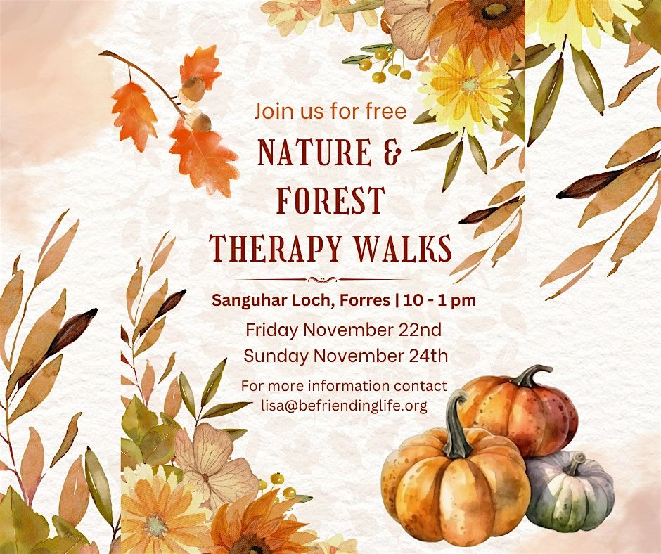 Nature & Forest Therapy Walks