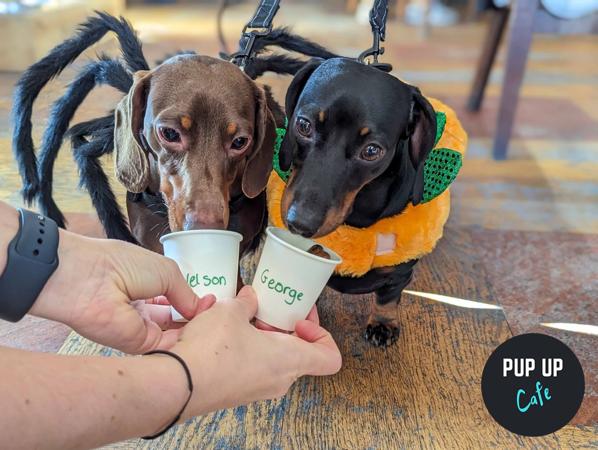 Hallo-ween Dachshund Pop Up Cafe - Sheffield