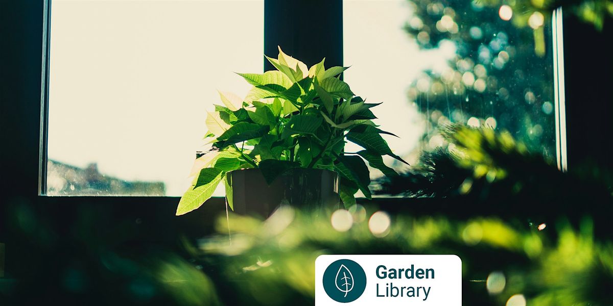 Growing Herbs  for Health