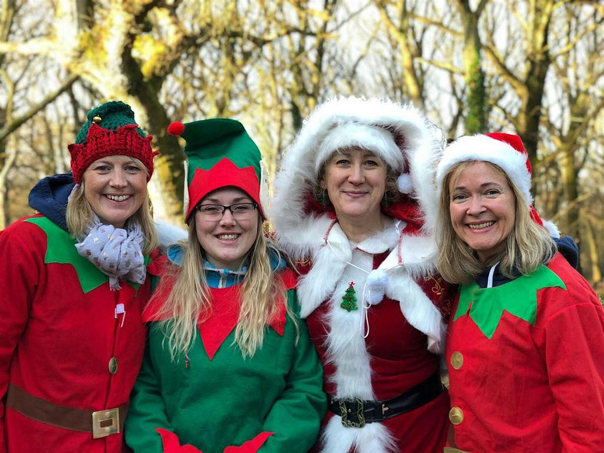 Christmas in the Woods 2025