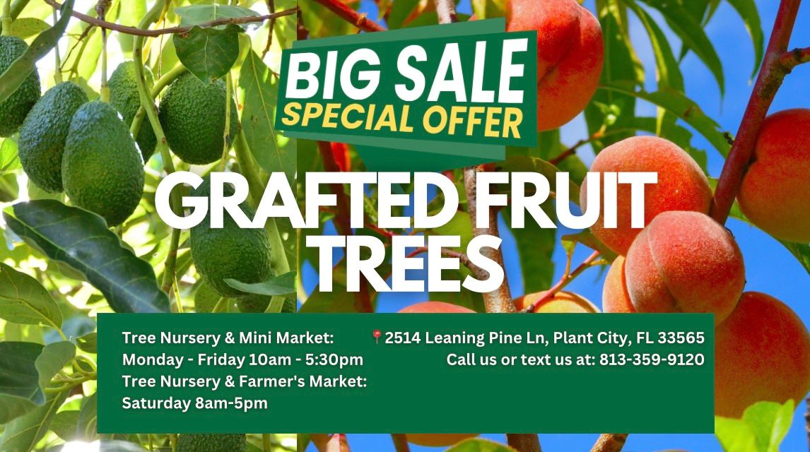 Spring Fruit Tree Festival! Exclusive Grafted Trees & Vibrant Farmers Market!