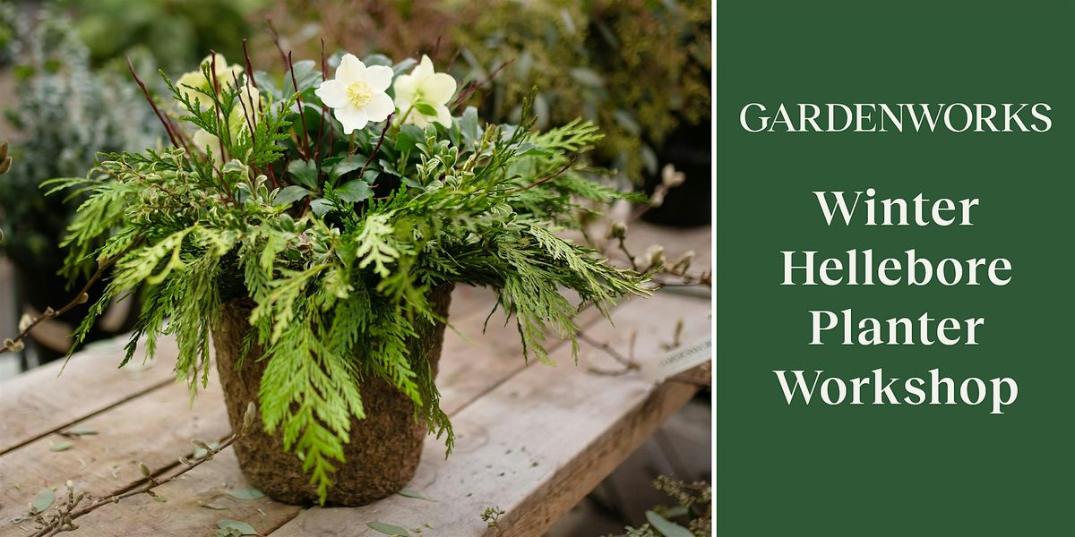 Winter Hellebore Planter Workshop at GARDENWORKS Oak Bay