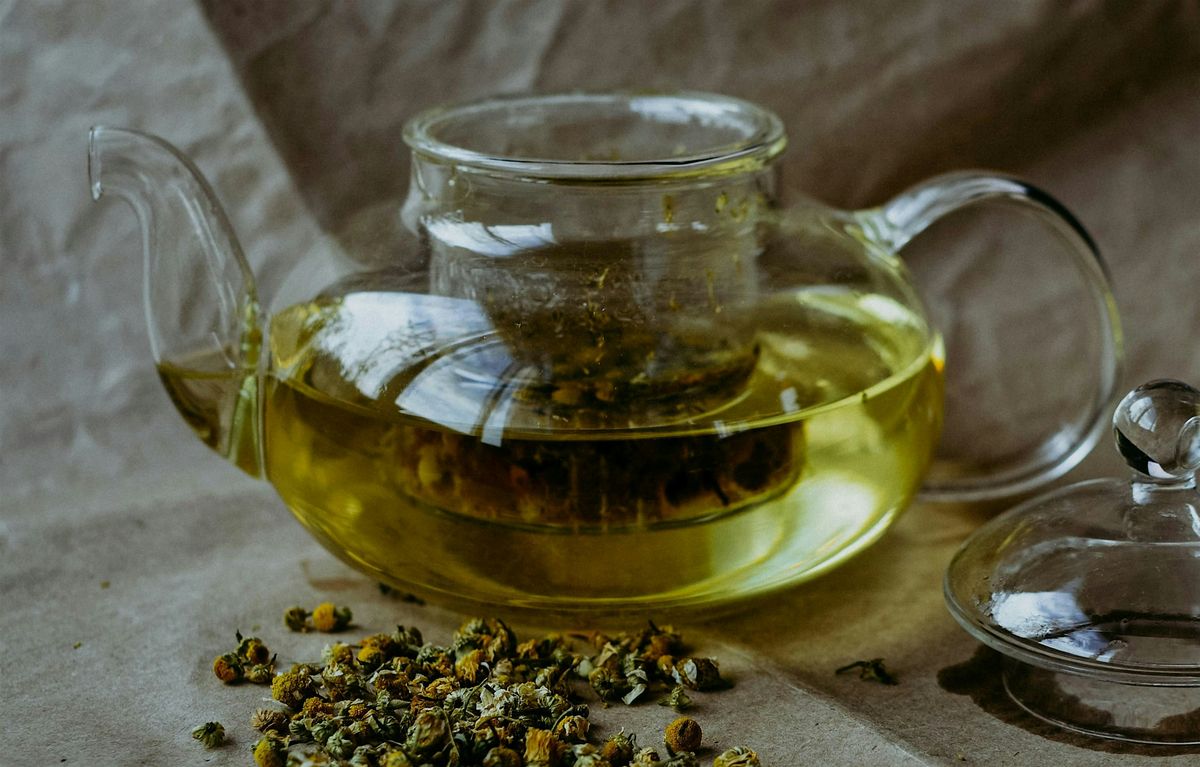 Herbal Medicine Club: Herb Journey & Meditation