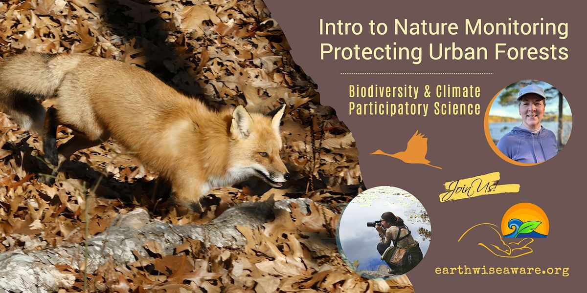 Introduction to Nature Monitoring \u2013 Protecting Urban Forests