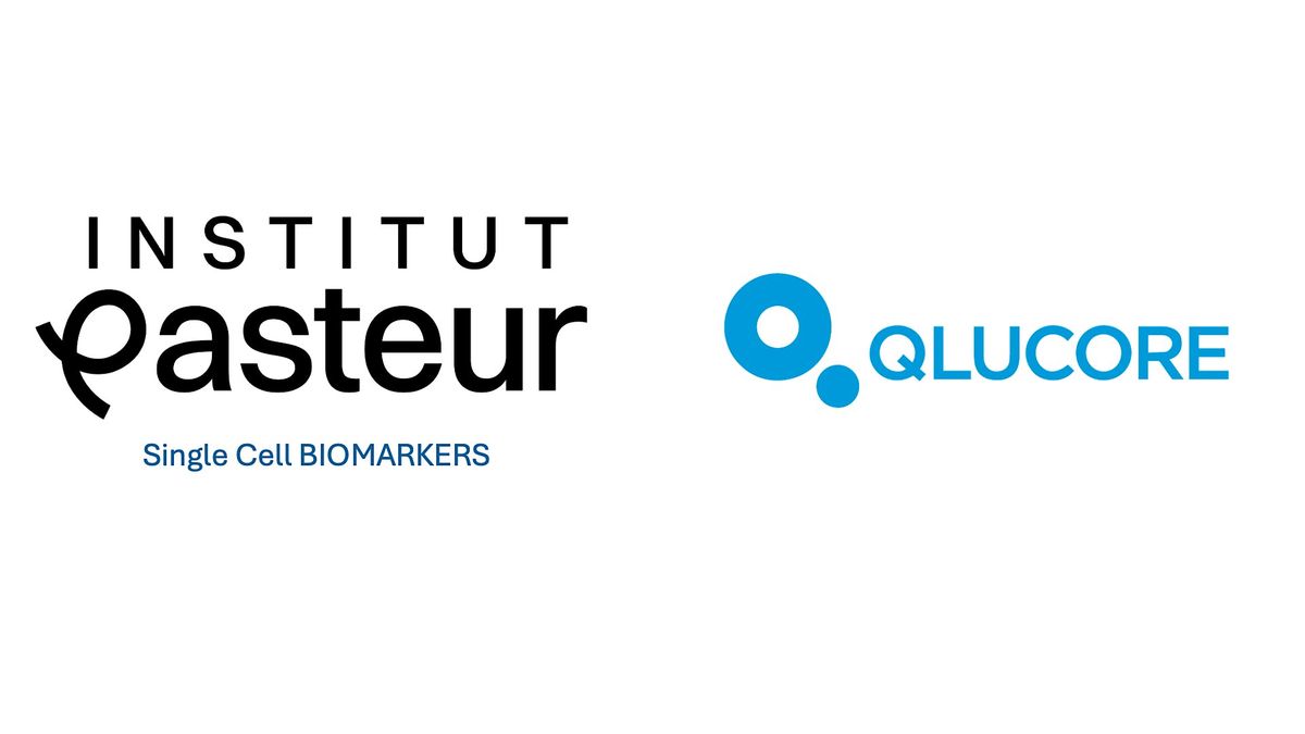 Hands-on Qlucore training sessions 2025