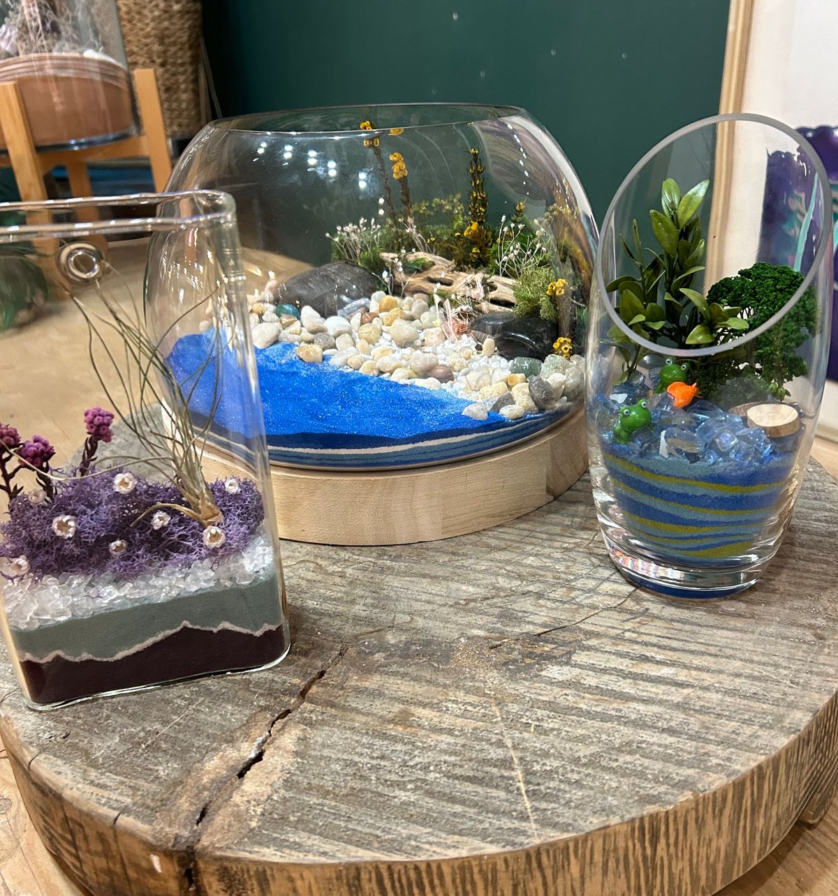 Terrarium Workshop with Mahonia Plus CATS