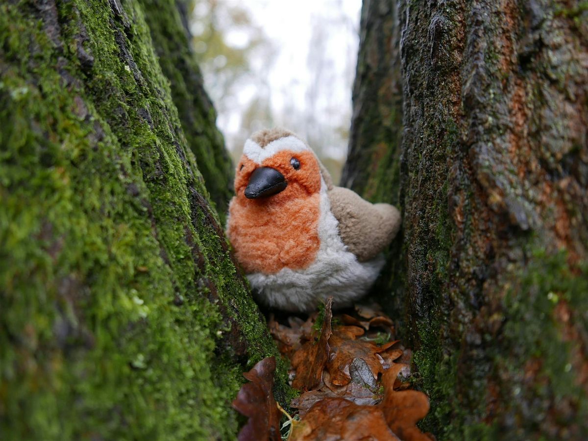 Festive Family Fun at Swanwick Lakes - Weekend Event
