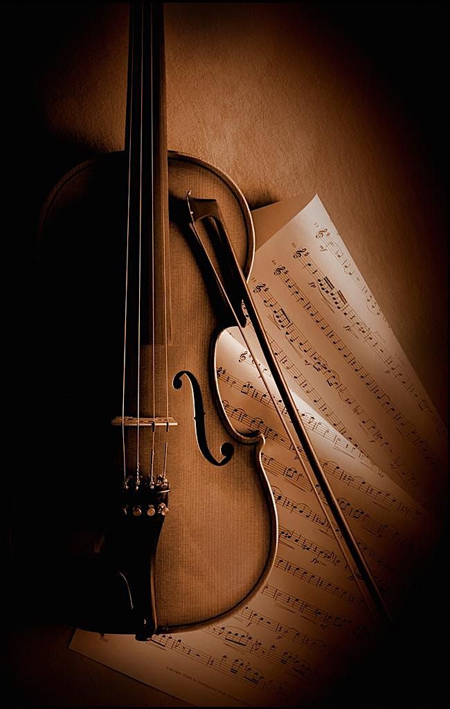 Harrow Summer Music Festival: Afton Strings Quartet for LCF