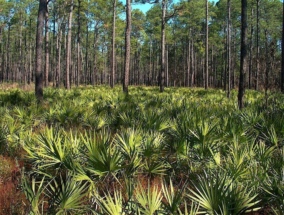 Neighborhood Nature Clinic