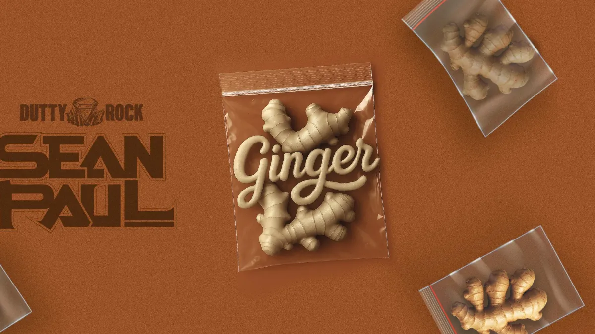 Sean Paul in M\u00fcnchen