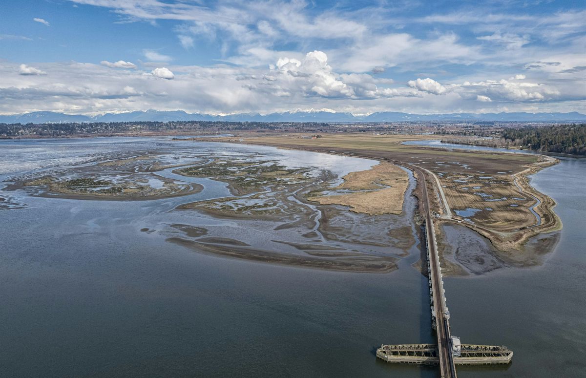 Eyes in the Sky: The Art of Drone Photography
