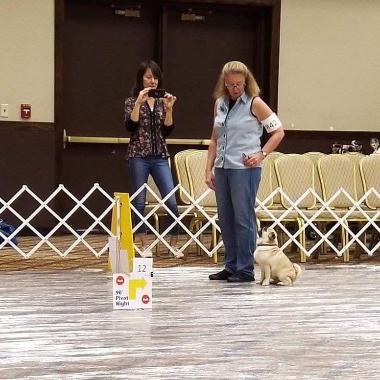 BHDTC Summer Rally Obedience Trial