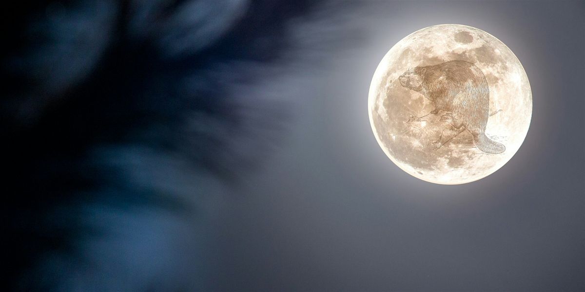 Full Beaver Moon Walk (18+)