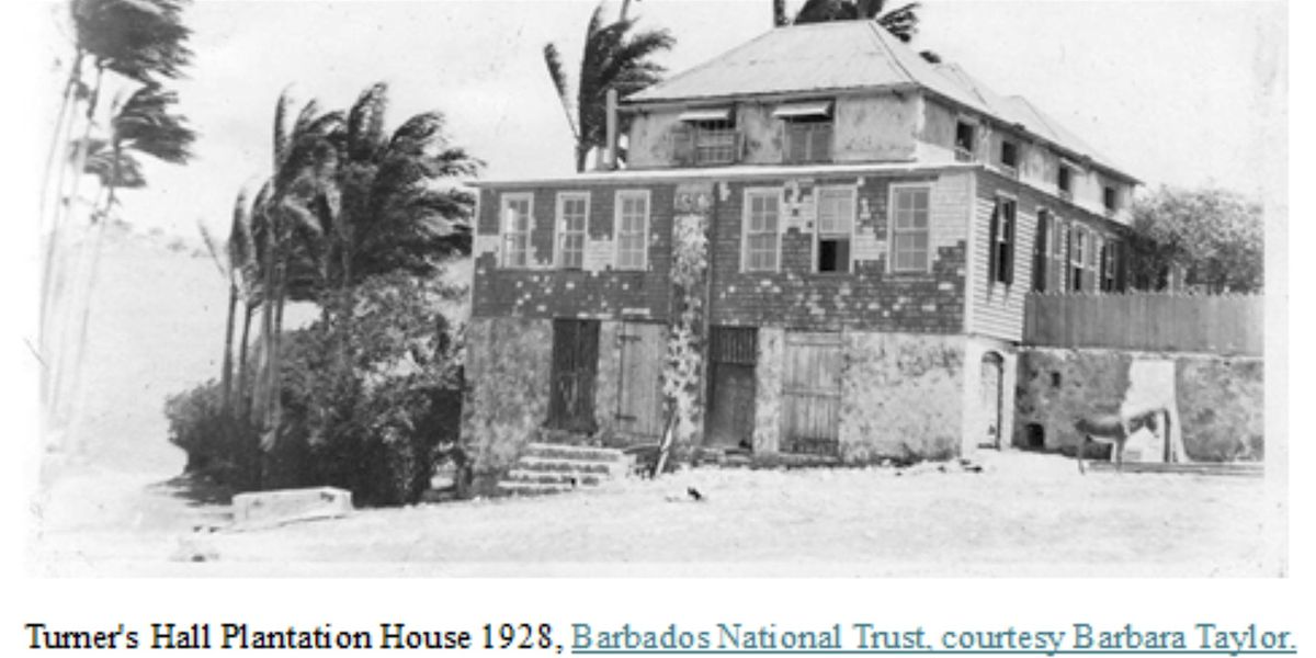 Cohesion and Conflict: Enslaved Society on Turner's Hall Plantation