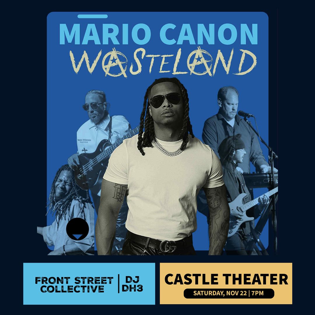 Mario Canon's Wasteland
