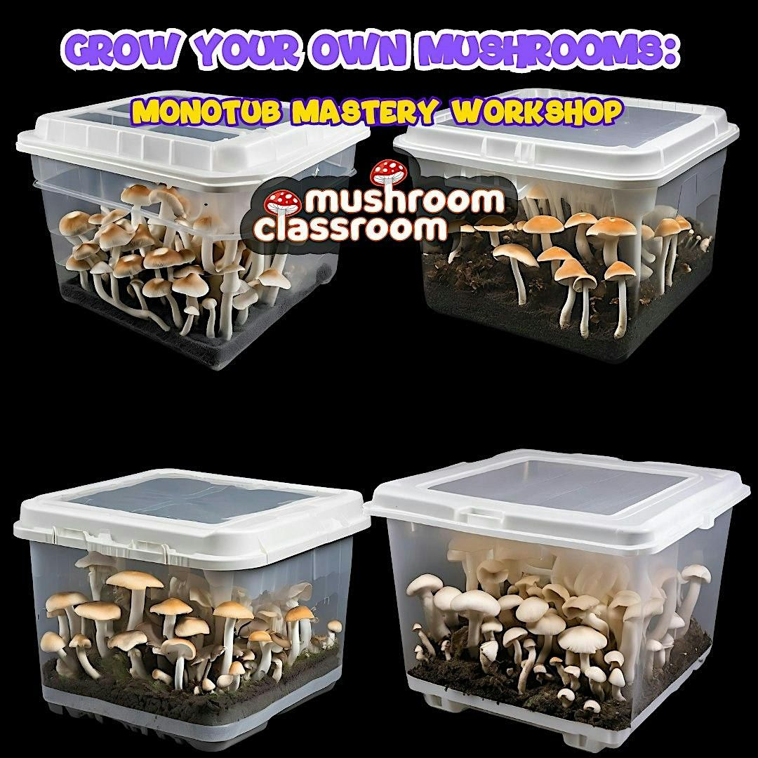 Valentine's Day Date: Grow Your Own Mushrooms: Monotub Mastery Workshop