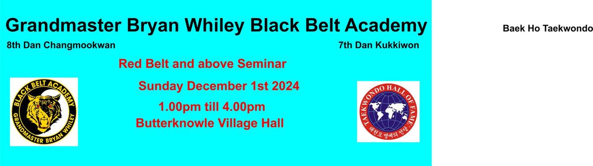 Red Belt and above Taekwondo Workshop