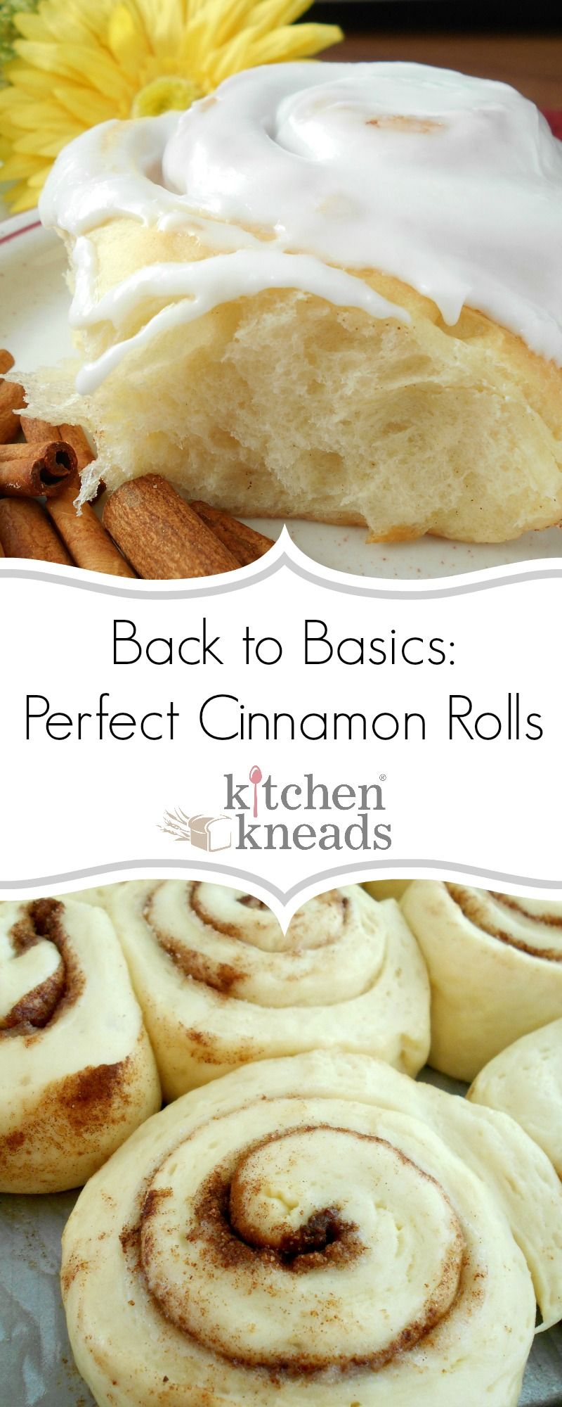 Hands-on Cinnamon Roll Class | September 21st | 10 AM