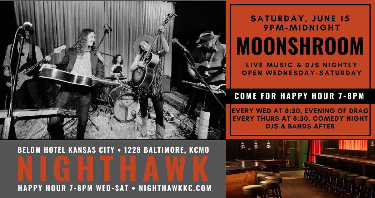 Lily B. Moonflower, Jake Keegan + Friends at Nighthawk on Saturday, June 15 at 9PM