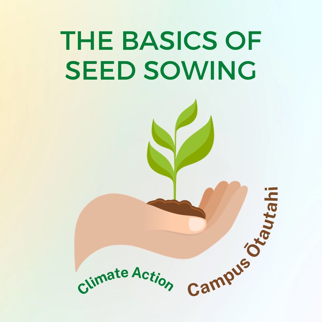 The Basics of Seed Sowing 25th August
