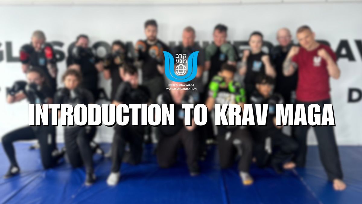 Krav Maga For Beginners: Intro Session