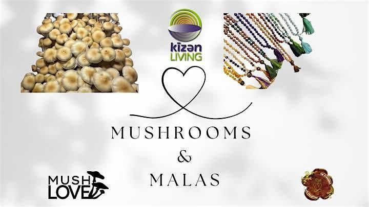 Malas & Mushrooms