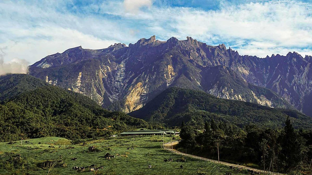 MT KINABALU CLIMB + BRUNEI 