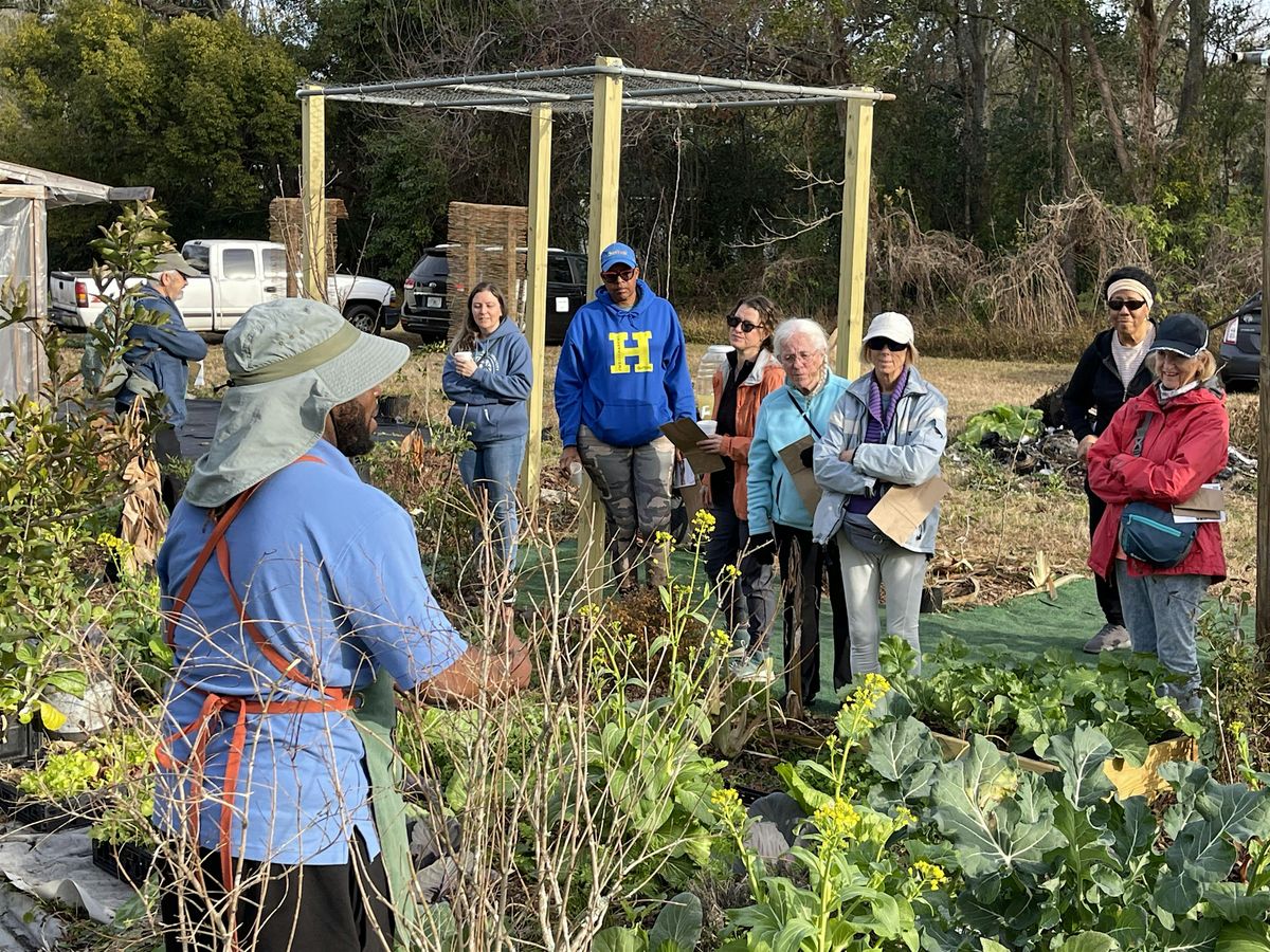 Urban Garden Tour: Therapeutic Nursery & Gardens