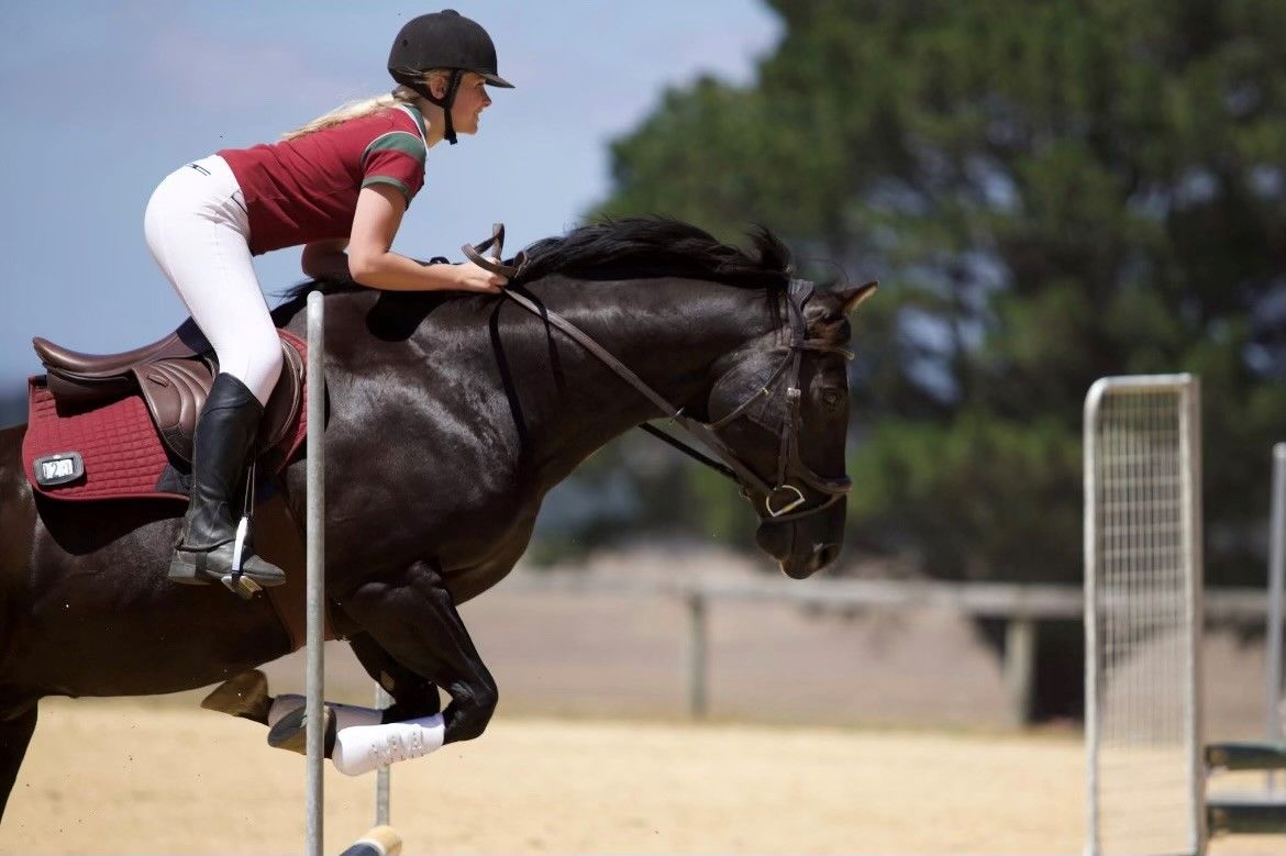 B.E.S.T Round 2 - Smythesdale & District Pony Club