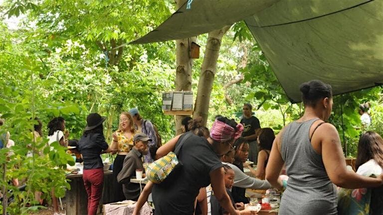 Homeopathy and Herbalism workshop