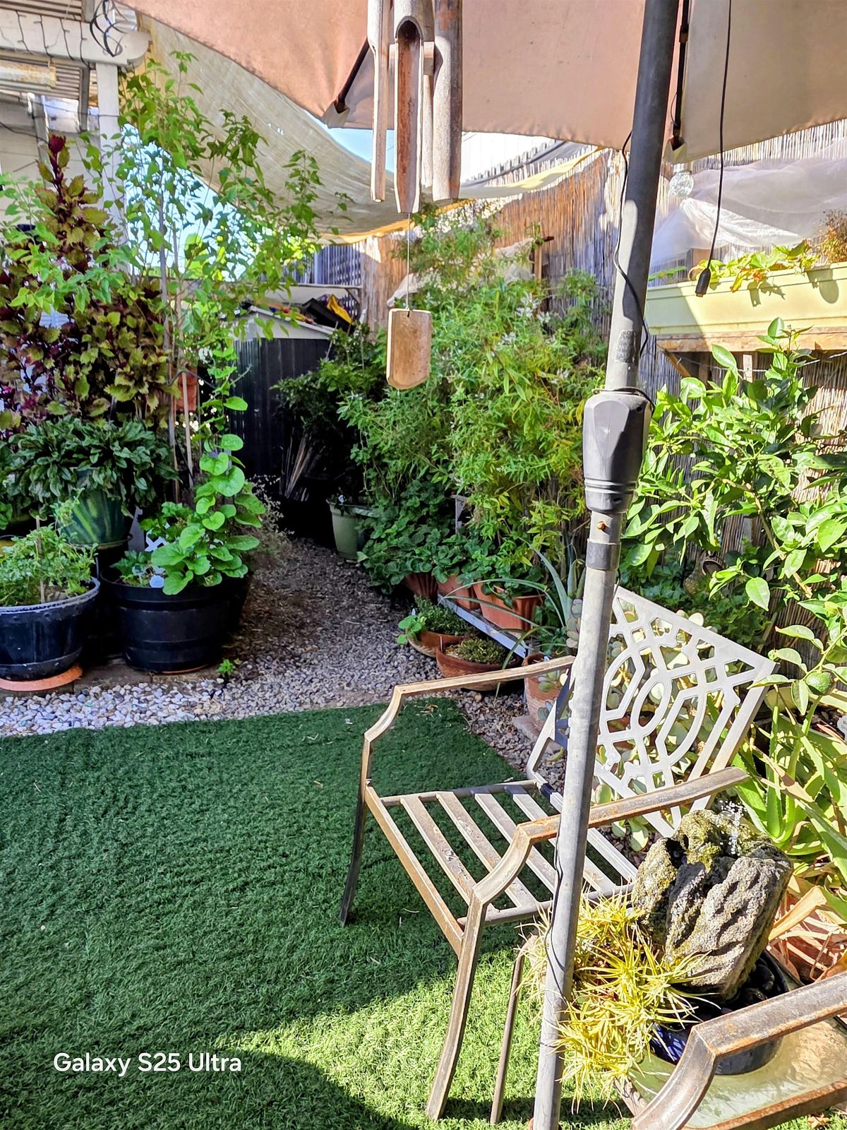 Diva Indulgence\u00ae Fall "Pamper Me" Scrub Party