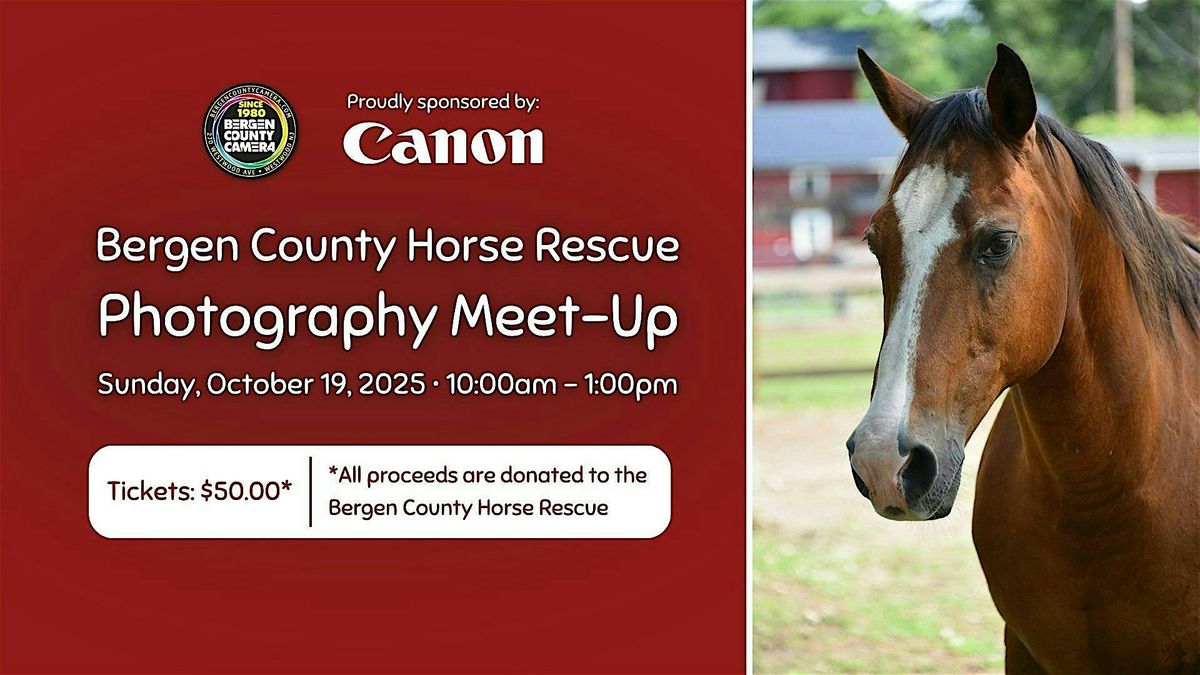 Bergen County Horse Rescue Meet-up
