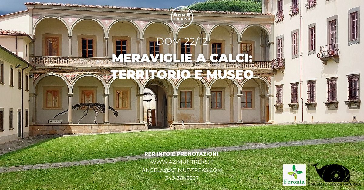 Meraviglie a Calci: territorio e Museo