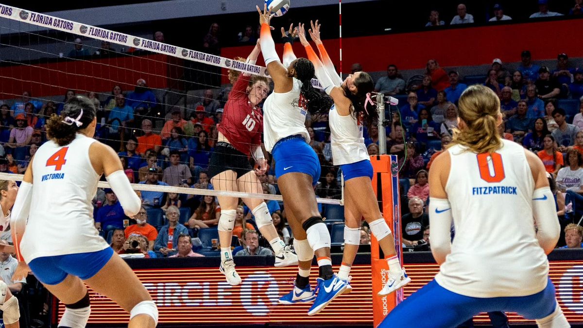 Florida Gators at Arkansas Razorbacks Womens Volleyball