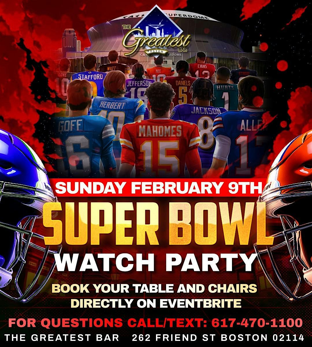 Super Bowl LIX Party