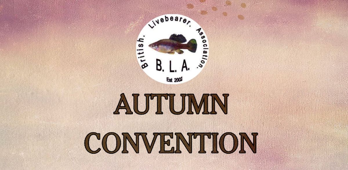 British Livebearer Association (Autumn Convention)