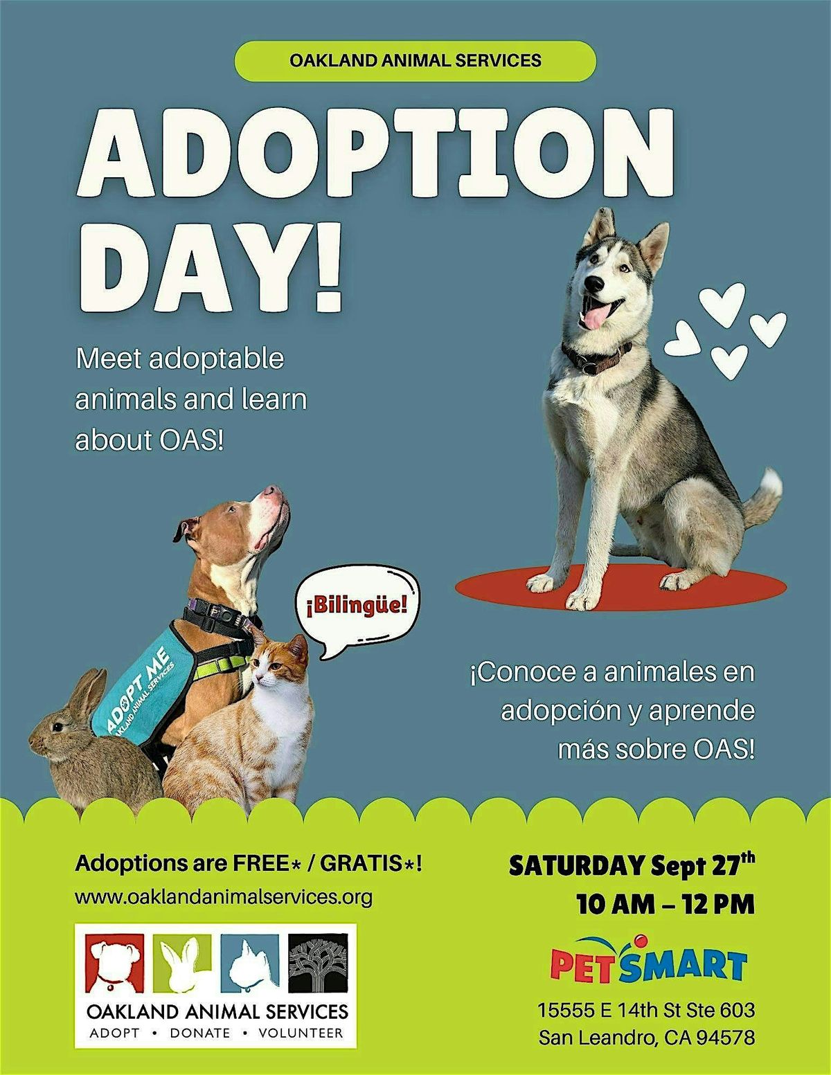 Adoption Day! \u00a1D\u00eda de adopci\u00f3n!