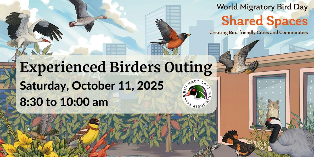 World Migratory Bird Day Guided Outing - Fall 2025 - Experienced Birders