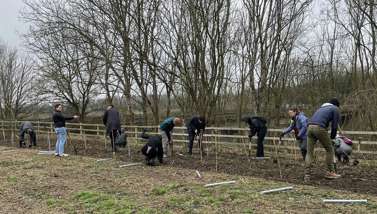 Volunteers needed to plant a wildlife corridor near Newark-on-Trent