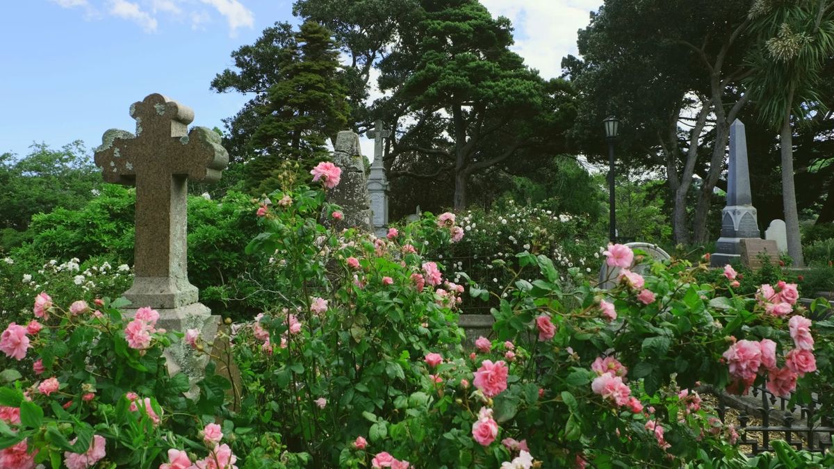 Wonderful Wahine: Women in the Cemetery