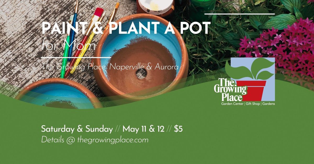 Paint & Plant a Pot for Mom