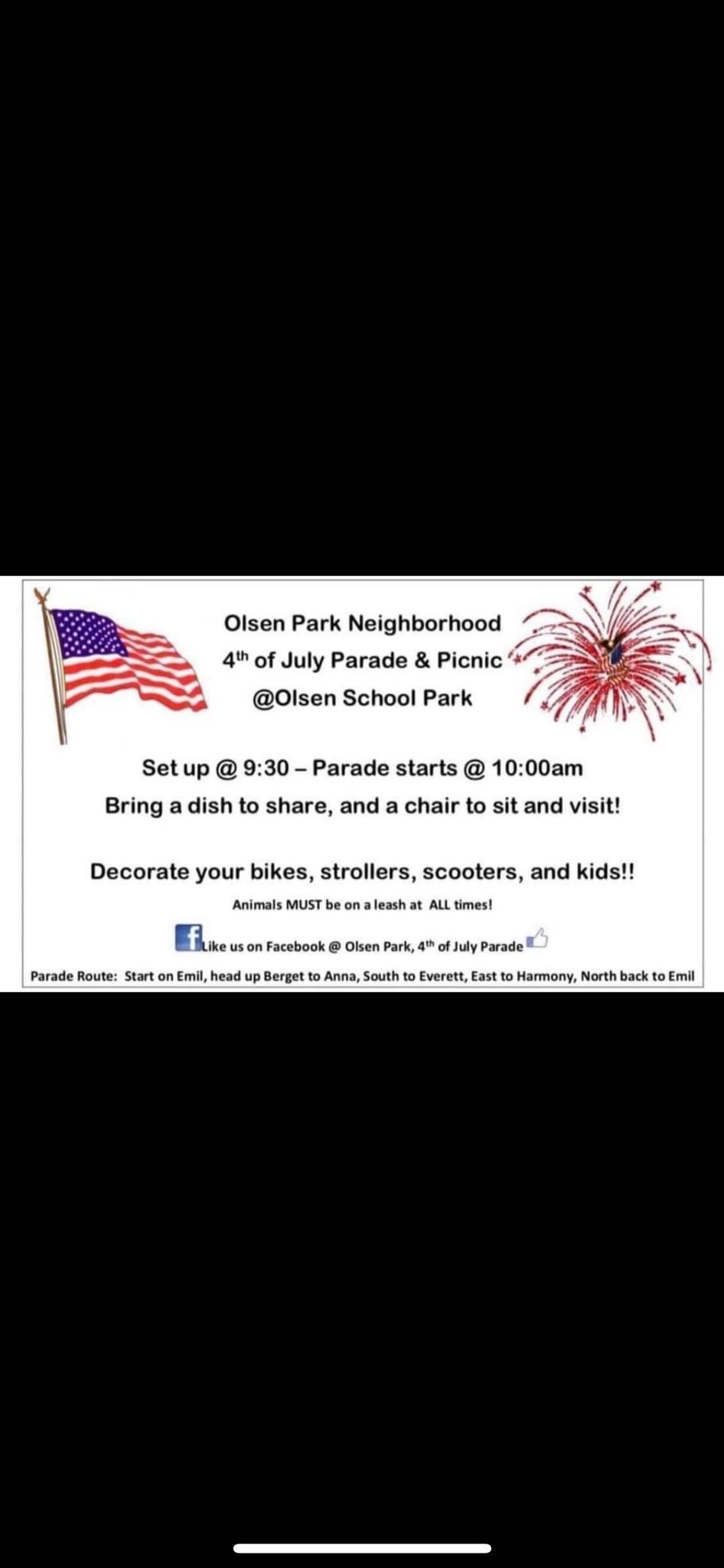 4th of July Olsen neighborhood parade!